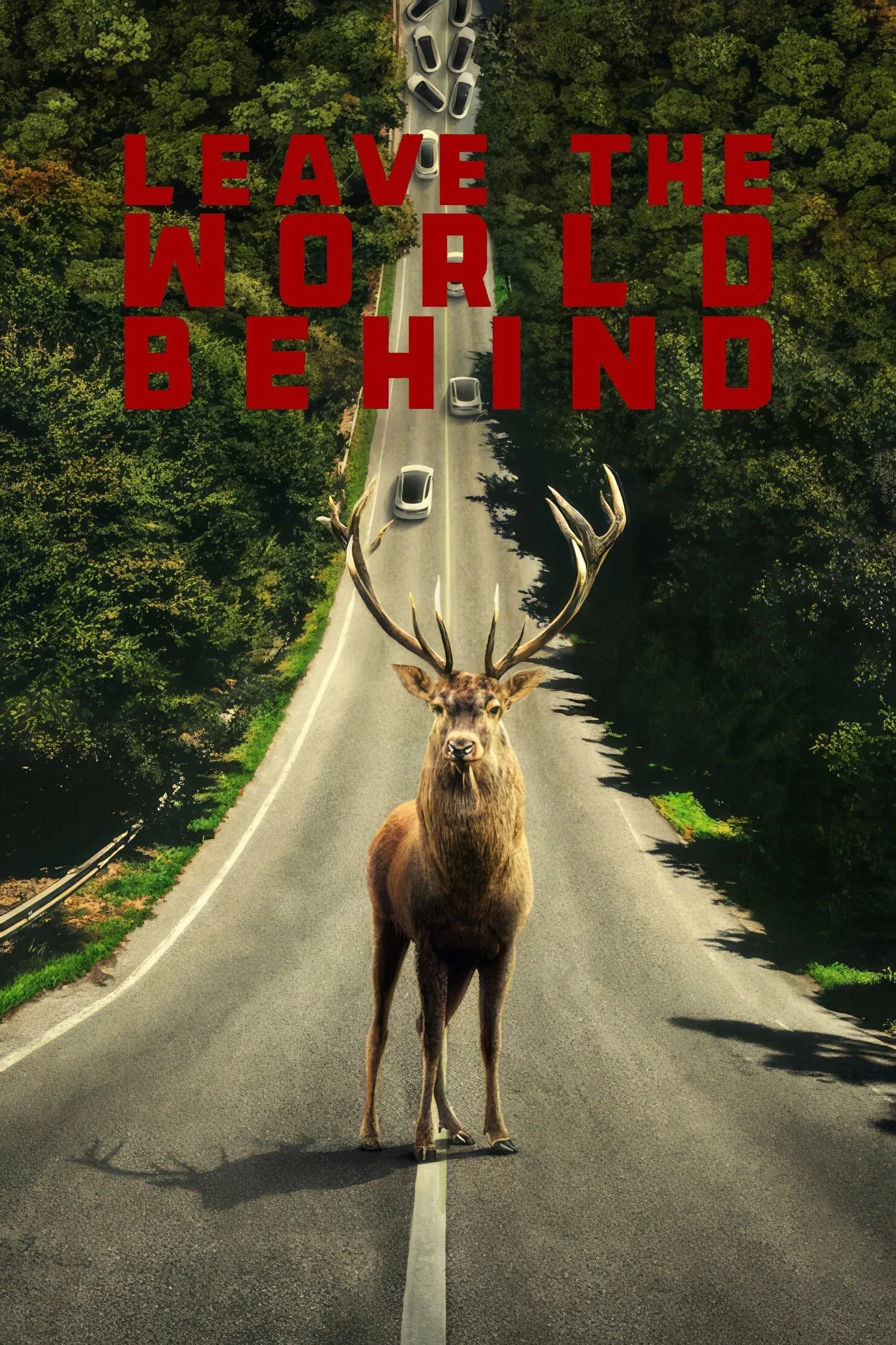 Leave the World Behind Movie Information & Trailers KinoCheck