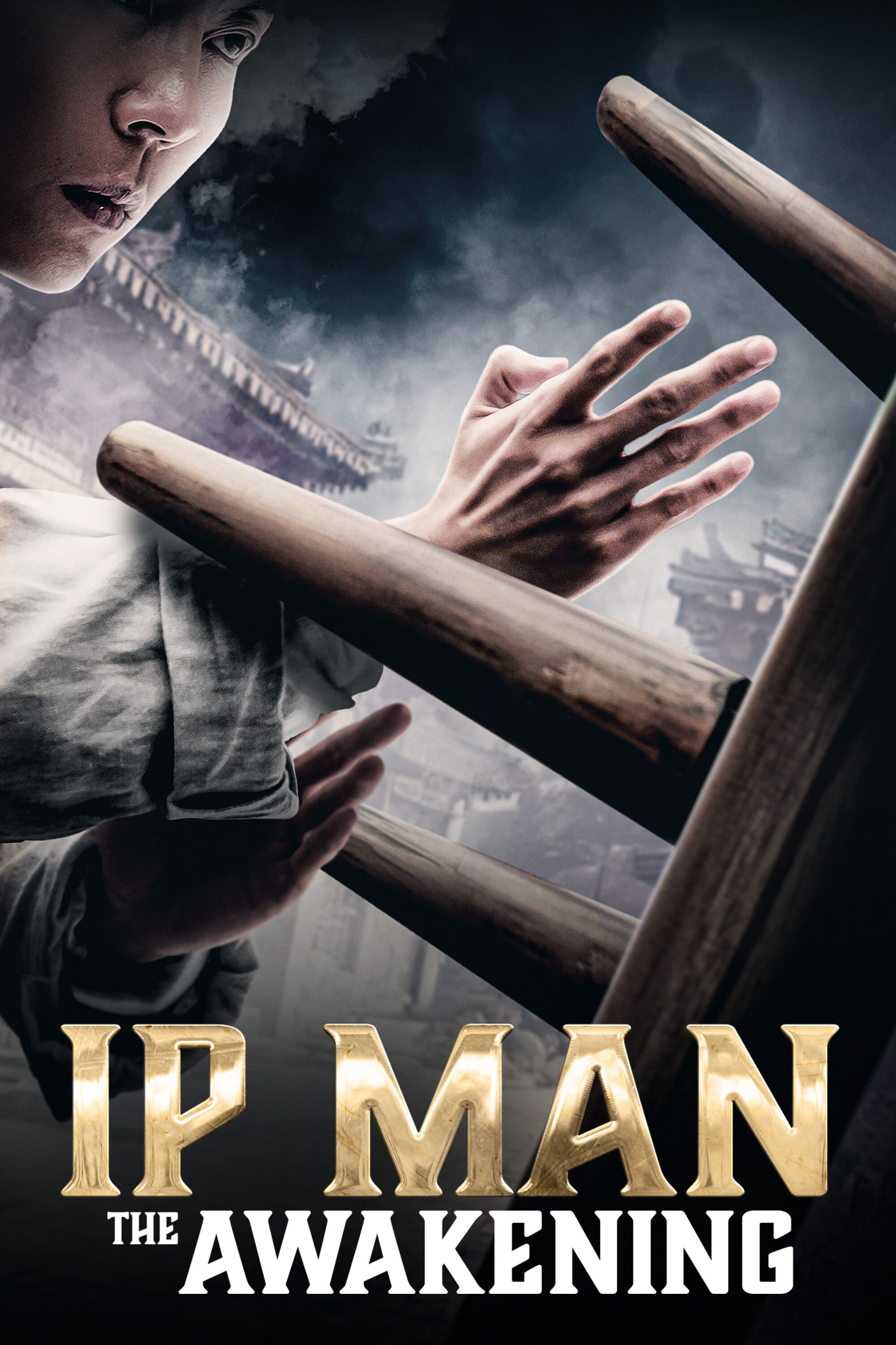 Poster Film Ip Man