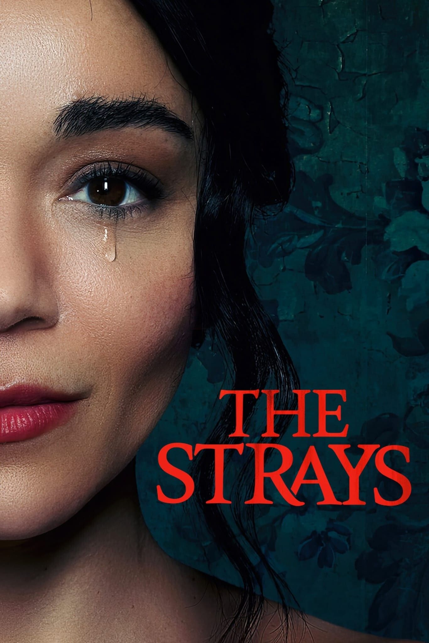 THE STRAYS