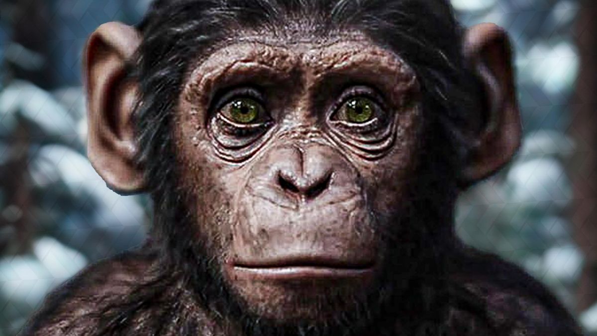 KINGDOM OF THE OF THE APES (2024) Movie Preview KinoCheck