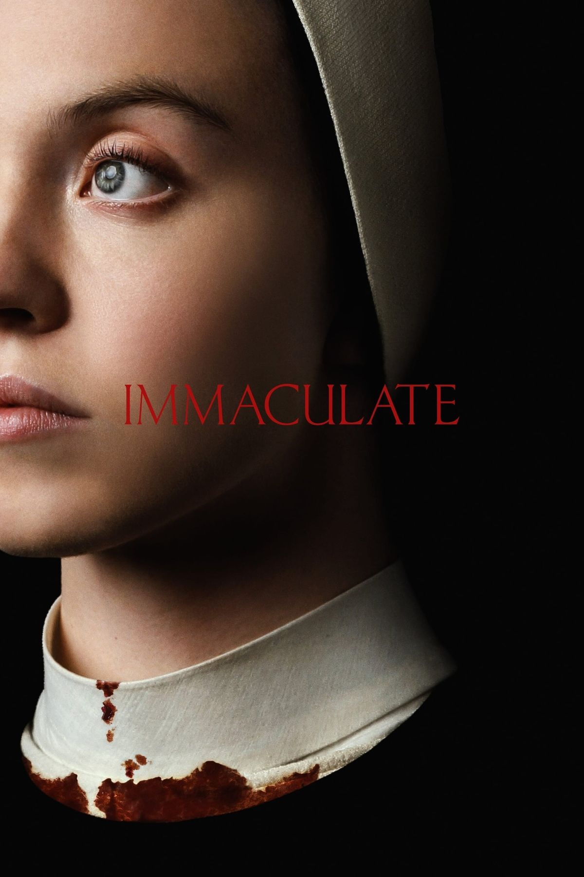 Immaculate (2024) Movie Information & Trailers KinoCheck