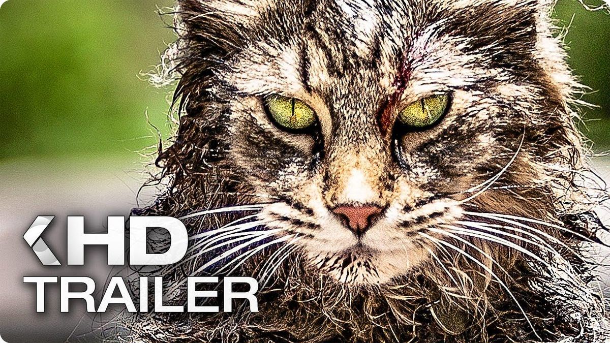 Wie Heißt Die Katze Aus Friedhof Der Kuscheltiere kinocheck.de