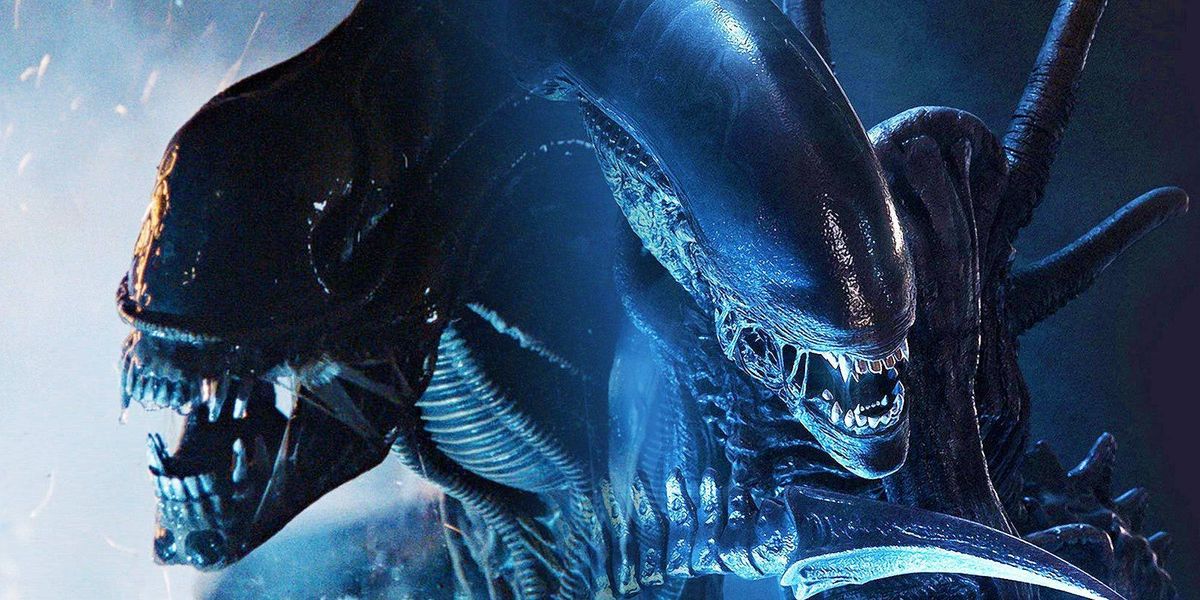 Alien: New movie to stand on its own feet - Movie & Show News | KinoCheck