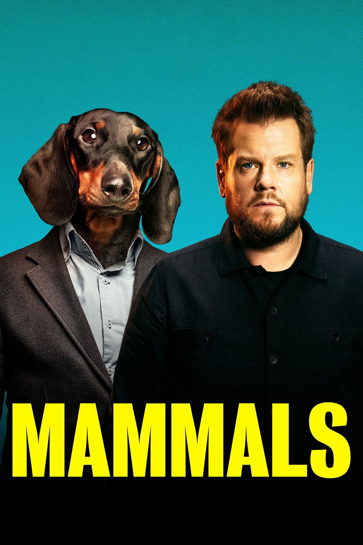 Mammals 2022 Serien Information Und Trailer KinoCheck twisters-2024-movie-information-trailers-kinocheck