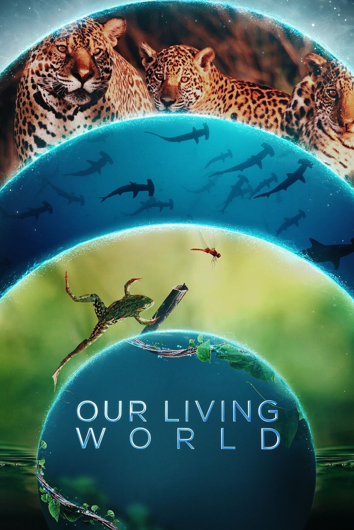 Our Living World Tv Show Information Trailers Kinocheck