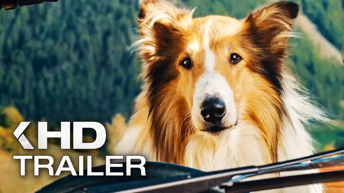 Lassie Ein Neues Abenteuer Trailer Kinocheck