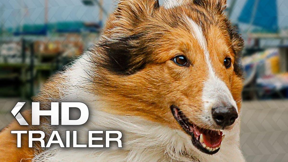 Lassie Eine Abenteuerliche Reise Trailer Kinocheck