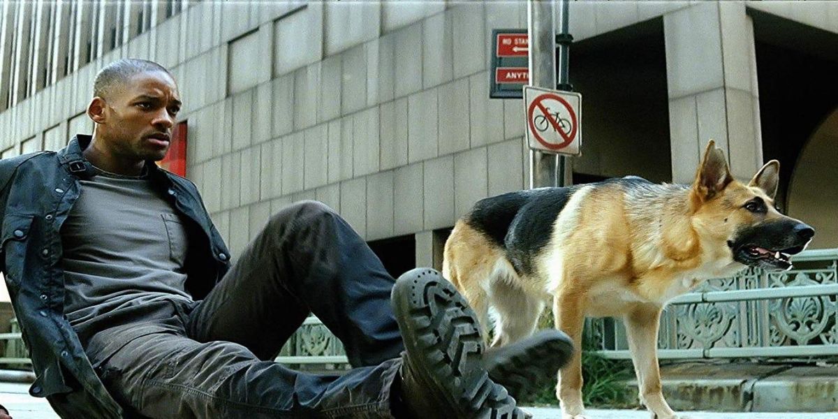 I am Legend 2 Drehbuchautor verrät, wie das Sequel aussehen soll