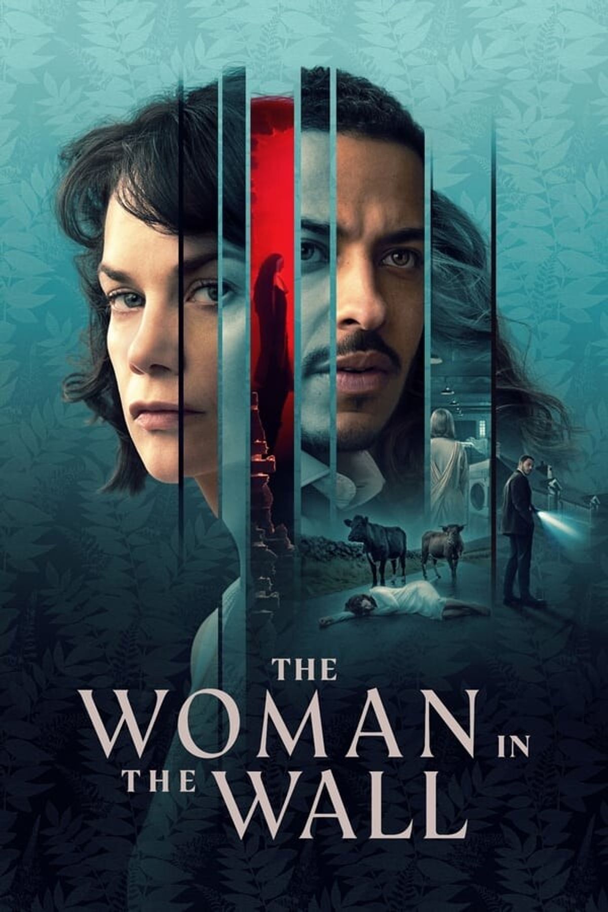 The Woman In The Wall Tv Show Information And Trailers Kinocheck