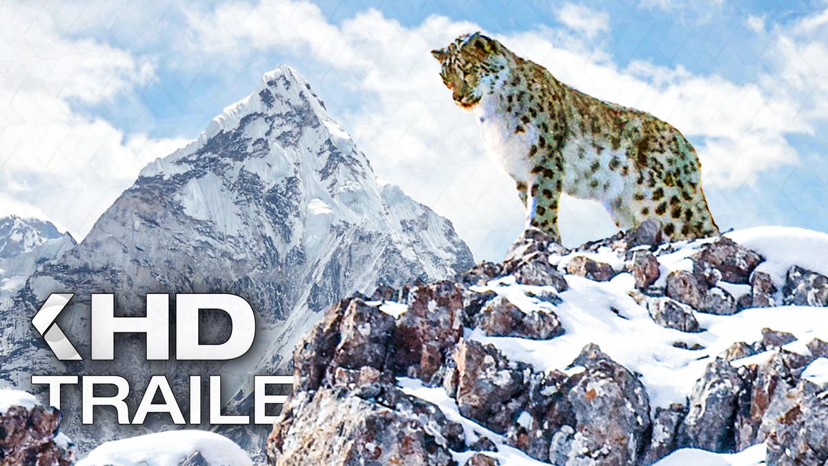 Der Schneeleopard Trailer KinoCheck