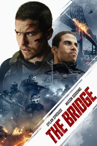 Poster zu The Bridge