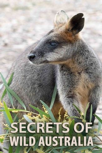 Poster zu Geheimnisse des wilden Australiens