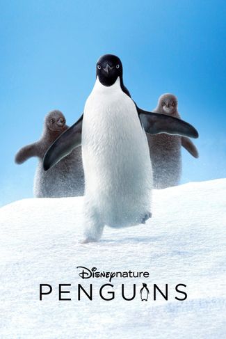Poster of Penguins