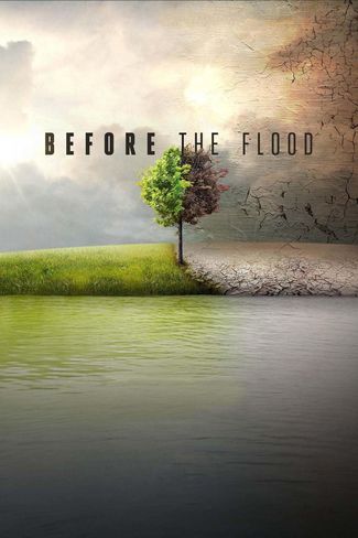 Poster zu Before the Flood