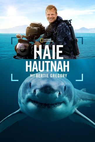 Poster zu Haie hautnah mit Bertie Gregory