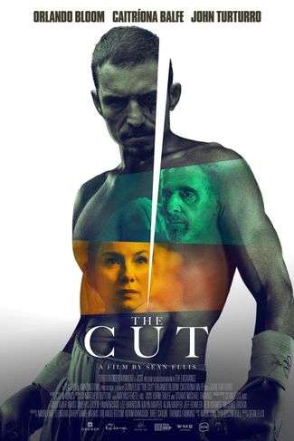 Poster of The Cut