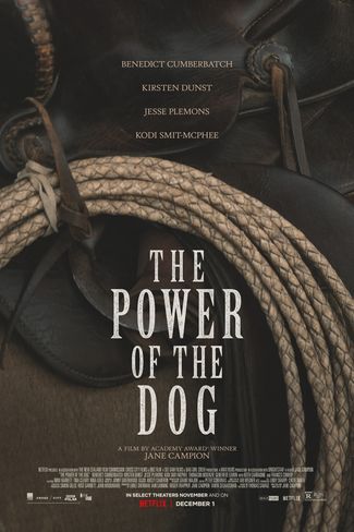 Poster of The Power of the Dog