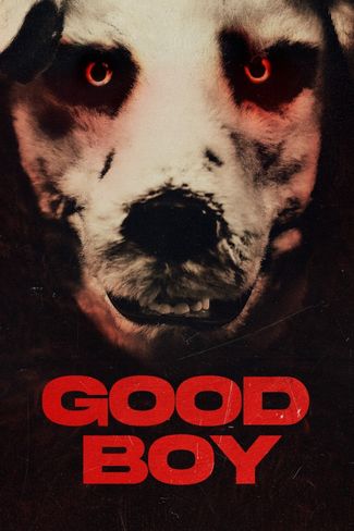 Poster zu Good Boy