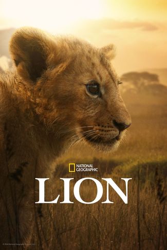 Poster zu Lion: Die Löwen-Saga