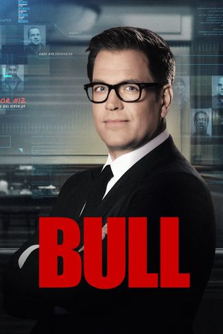 Poster zu Bull