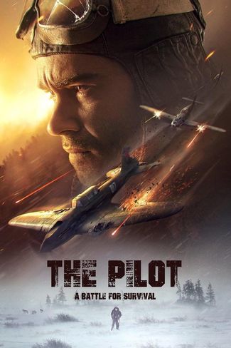 Poster of The Pilot: A Battle for Survival