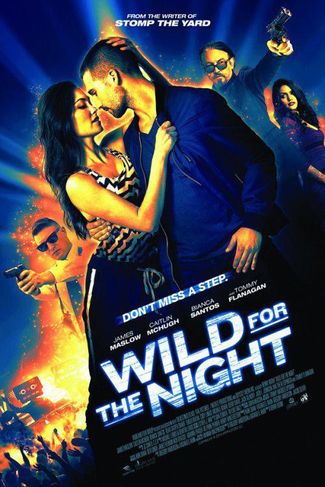 Poster zu Wild for the Night