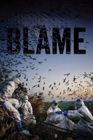 Poster of Blame