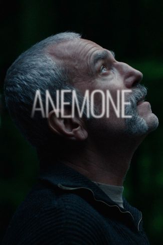 Poster of Anemone