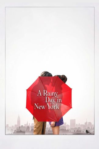Poster zu A Rainy Day in New York