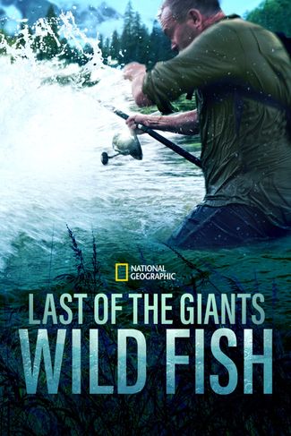 Poster zu Die letzten Giganten: Riesenfische