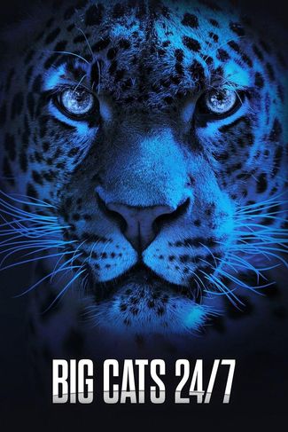 Poster of Big Cats 24/7