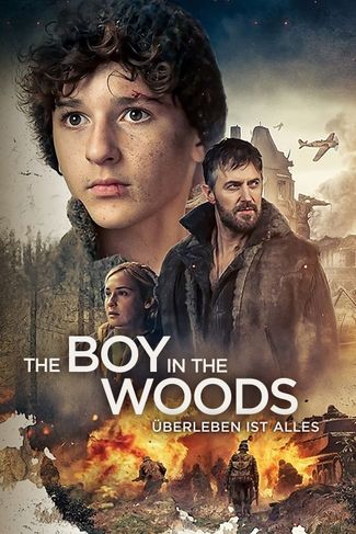 Poster of The Boy in the Woods