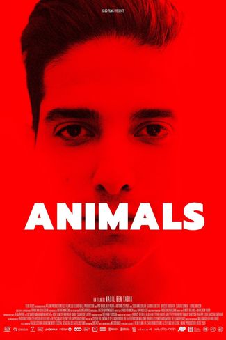 Poster zu Animals