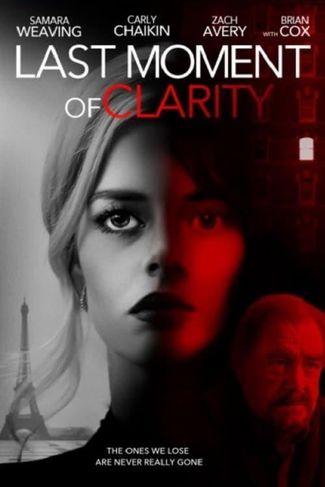 Poster of Last Moment of Clarity