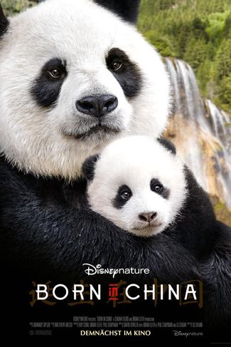 Poster zu Born in China