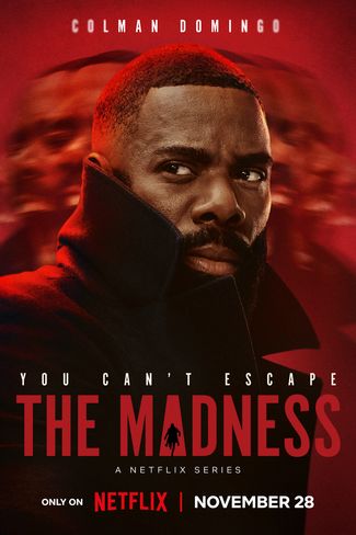 Poster of The Madness