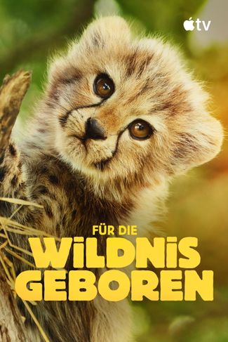 Poster zu Für die Wildnis geboren