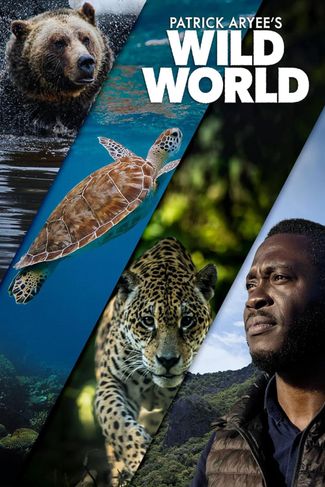 Poster zu Wild World mit Patrick Aryee