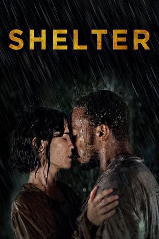 Poster zu Shelter