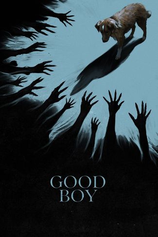 Poster of Good Boy