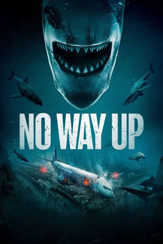 Poster zu No Way Up