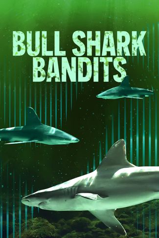 Poster zu Bullenhaie auf Beutejagd