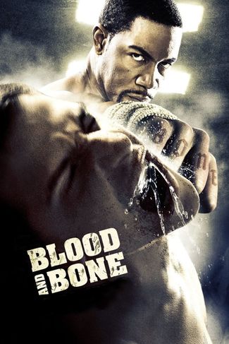 Poster zu Blood and Bone - Rache um jeden Preis