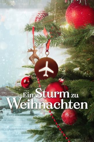 Poster zu Ein Sturm zu Weihnachten