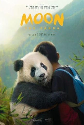 Poster zu Moon, der Panda