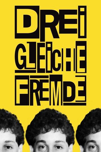 Poster zu Drei Gleiche Fremde
