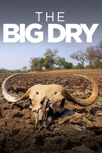 Poster of The Big Dry