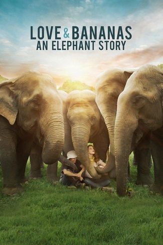 Poster of Love & Bananas: An Elephant Story