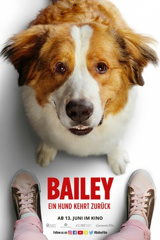 Poster zu Bailey 2: Ein Hund kehrt zurück 