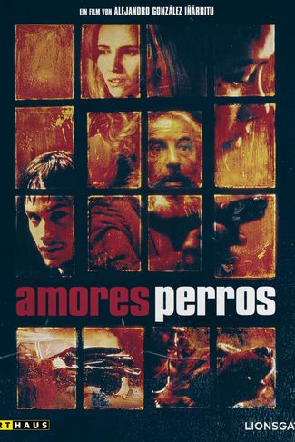 Poster of Amores Perros